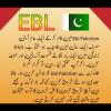 Ebl shining 🇵🇰🌟 (mirha aslam)