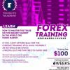 🛡️ Frankie FX Academy BEGIN