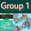 Study3000 Group 1