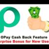Join OPAY CASH INVESTMENT WhatsApp Group