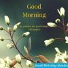 Join Admin pagal he WhatsApp Group