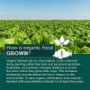 Way 2 OrganiC
