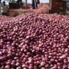 Join Agriculture online WhatsApp Group