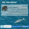 Join did_you_know_facts___ WhatsApp Group