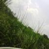 Join Full of masti WhatsApp Group