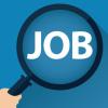 Job provide by suraj 15