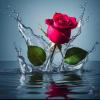 Join Friend Free WhatsApp Group