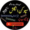 Vocabineer M-80