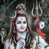 Join 👏🌹JAY SHIV🌺 JEE🔱 WhatsApp Group