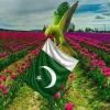 Join I Love❤Pakistan🇵🇰 WhatsApp Group