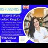 NK education + work visa 🌱