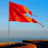 Bharatiya Janata party 🚩