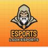 LSDX ESPORTS TOURNAMENT-2