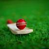 Dream11 Unlimited Winning