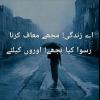 Urdu poetry💔