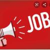 All Job Alert 2