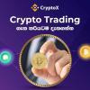 Join Crypto Currency Trading 💰 WhatsApp Group