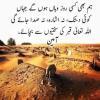 بہار شریعت کورس ،