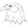 EAGLESEYEFX WHATSAPP