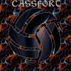 Cassfort Fixed VIP✅