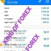 Join KING OF FOREX WhatsApp Group