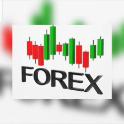 Join Forex trading WhatsApp Group