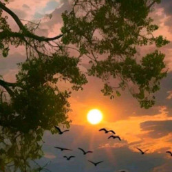 Join ایک فرقہ اداس لوگوں کا 🥀🖤 WhatsApp Group