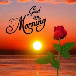 Join Dear life WhatsApp Group