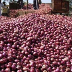 Join Agriculture online WhatsApp Group