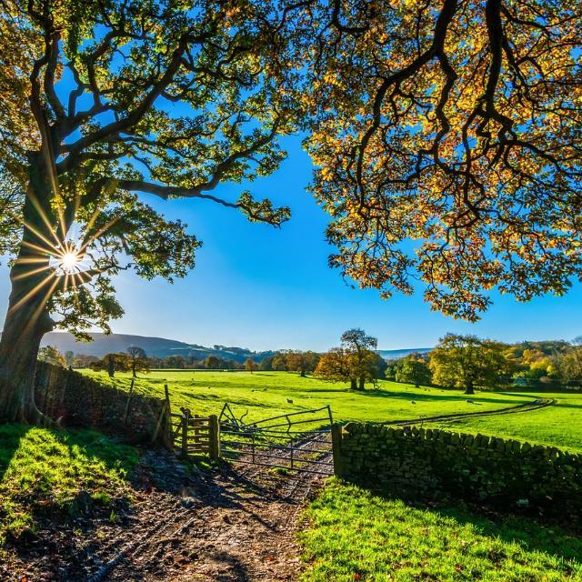 Join Agriculture Only 🌱 Global Group WhatsApp Group