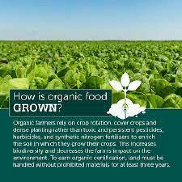 Join Way 2 OrganiC WhatsApp Group