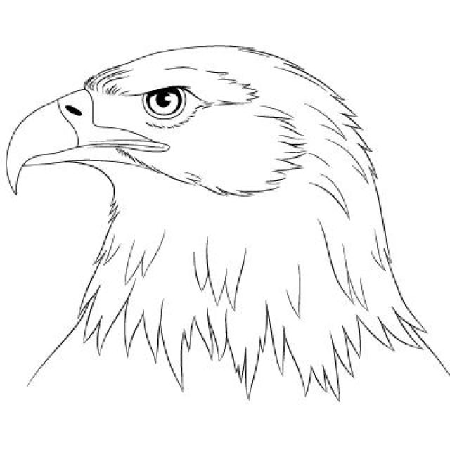 Join EAGLESEYEFX WHATSAPP WhatsApp Group