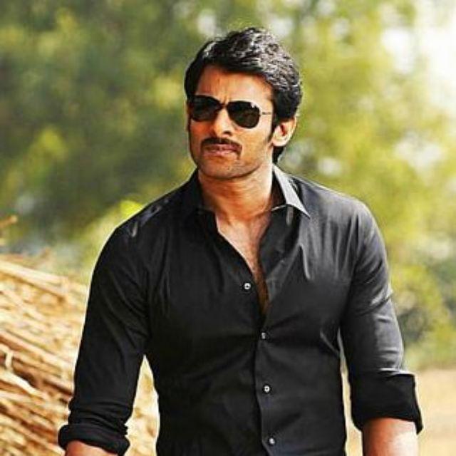 Join 👑King Rebelstar👑 WhatsApp Group
