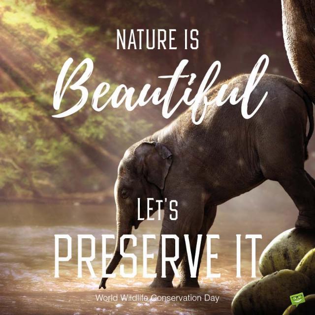 Join Wildlife world nature 🐘🐯🦓 WhatsApp Group