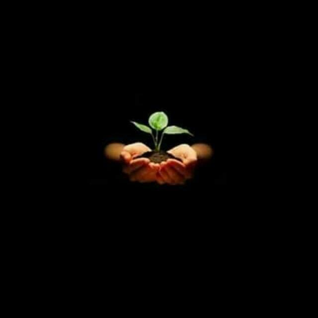 Join CSR WhatsApp Group